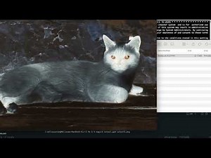 HW6: CUDA Image Processing
