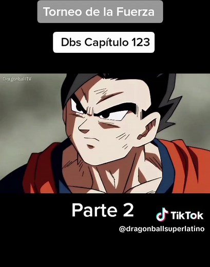 Torneo de la Fuerza Capitulo 123 - Batalla de poder entre Jiren, Vegeta, y Toppo