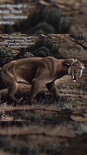 🚨POV: You didn’t just slip through time… You tore straight into an era where humanity doesn’t exist, and the only rule is “survive long enough to not get eaten.” 50 million years ago, North America wasn’t the land you know— It was a battlefield ruled by predators that make lions look like house pets. And whatever that thing stalking the cliff is… Let’s just say you’re not at the top of the food chain anymore. Some scientists say if time travel were real, humans wouldn’t last five minutes in the