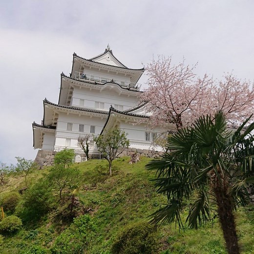 【小田原城の所要時間】順路と施設・営業時間を詳しく解説しました！ | TAKARA JOURNAL（たからジャーナル）