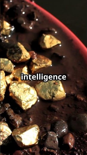 Motherlode Gold 101 (Module 3) Gold Towns of The Motherlode #californiamotherlodetowns #goldboomtown