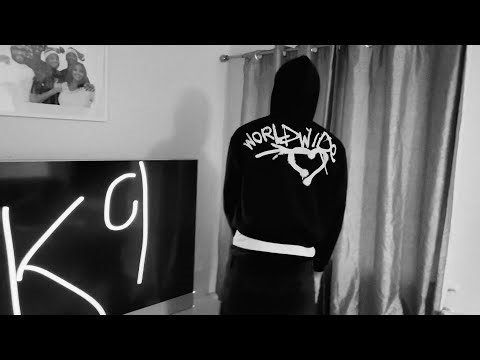 K9 - 3D (Official Music Video)