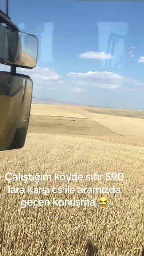 #ibrahimipek09 #ipektarım #biçerciibocan #cs640 #cx640 #cx680 #tc590 @hattatcı_osman18 @Furkan Ada @Mustafa Ada