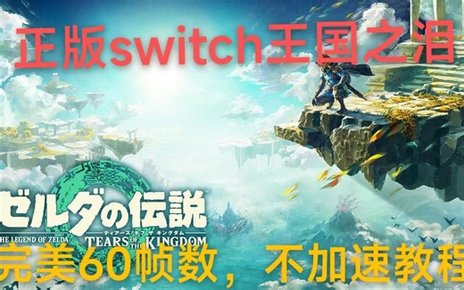 正版SWITCH王国之泪超频完美60帧数MOD 游戏不加速教程 SimpleModManager插件 王国之泪1.1.1补丁