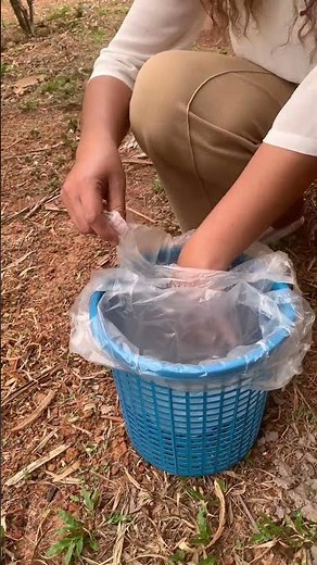 One trash can can be used for both wet and dry waste. #BrilliantIdea #AuntAomChannel