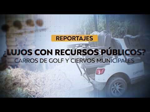 T13 Reports | Luxuries with public funds: golf carts and municipal deer