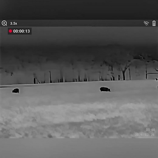 Thermal Monocular BlazeTrek 6 In Action 🔥
