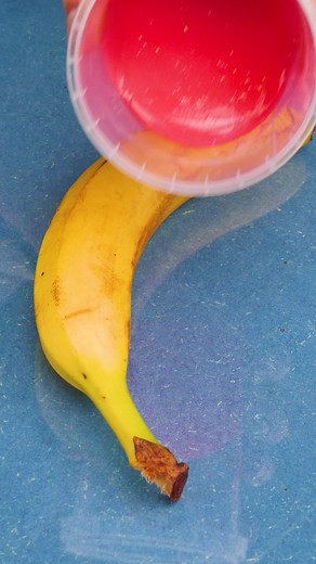 Super Awesome Banana Hacks! | Earth Wonders