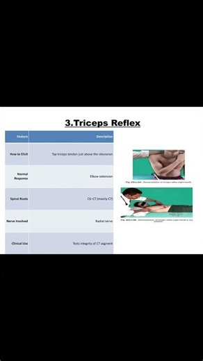 Deep TENDON REFLEX