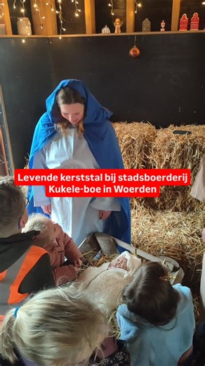 Het is druk in de hooiberg van stadsboerderij Kukele-boe in Woerden. Maria, Josef en consorten zijn neergestreken in hun 'stal'. Ook kindje Jezus is erbij. Je kunt het gezelschap komen bezoeken van 18.30 tot 19.30 uur tijdens de lichtjeswandeling op dinsdag 23 december. #levendekerststal #woerden #indebuurtwoerden | Indebuurt Woerden