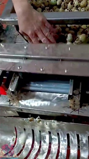 Super fast and innovative egg peeler #shorts