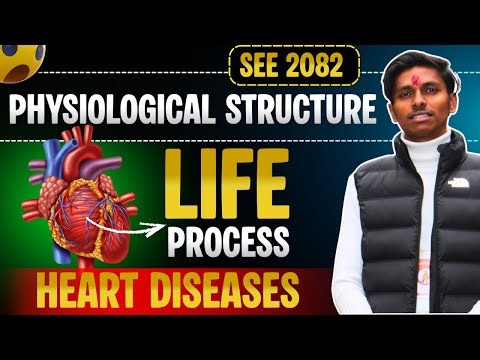 3.physiological structure and life process class 10 science