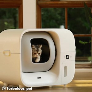 4.2K reactions · 1K shares | Keep your home clean and healthy for your cat with Furbulous' easy-to-use litter box, ensuring a fresh and clean bed of litter every time! Our automated litter box packs, seals, and even refills the trash bag for you, so you never have to worry about it again!  | Furbulous | Facebook
