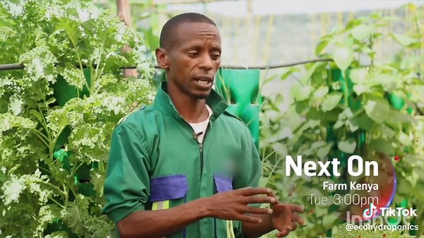 Innovative Farming Tips on Farm Kenya