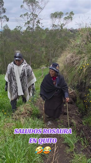 Saludos a Rosaura en Quito con Humor y Comida