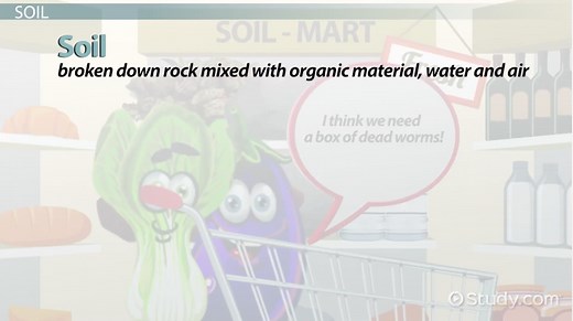 Soil Chemistry & Fertility