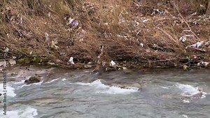 uncultured people throw garbage into the river, fast water carries polyethylene and other non-degradable waste of civilization into large rivers, littering their banks with plastic.