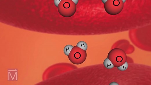 MRI工作原理和机制