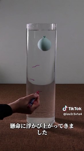 風船の不力と科学的限界点の実験