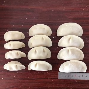 [Hot Item] Commercial Semi Automatic Siomai Maker Machine Dumpling Machine Momo Making Machine
