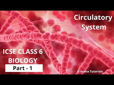Circulatory System | ICSE CLASS 6 BIOLOGY | Part - 1