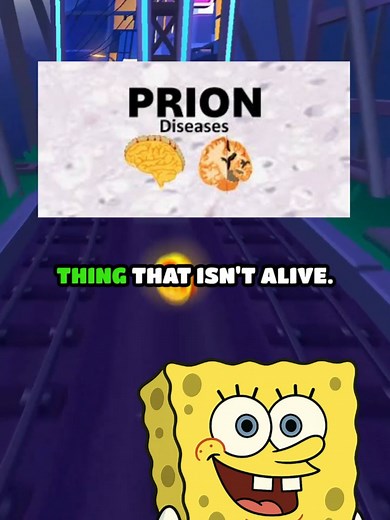 Spongebob explains the disease with a 100% fatality rate #spongebob #spongebobmeme #spongebobsquarepants #squidward #sciencefacts #coolfacts #coolscience #scienceexplained #science #sciencetok #prion #prions #diseases