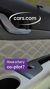 Find the car your dog will love on Cars.com! 🐶 | Cars.com