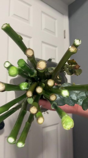 Why Buying Flowers Matters: Support Local Florists