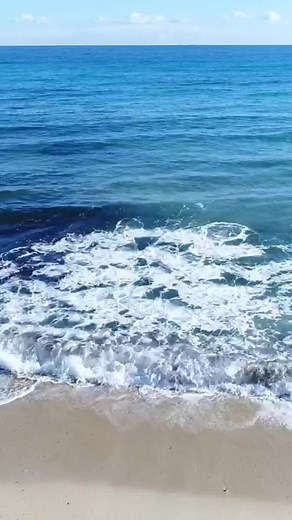 Kumpulan Video Lucu yang Bikin Tertawa