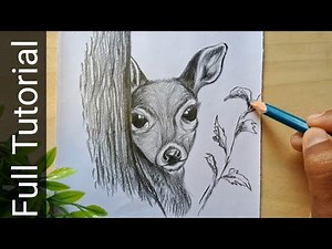 Time Lag Drawing Tutorial // How To Draw a Fawn With Pencil // Beginners Drawing Step By Step