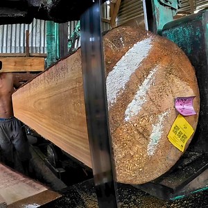 it is sawmill show | Sawmill & Woodworking