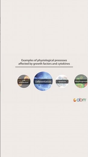Growth Factors and Cytokines - what do they do?
