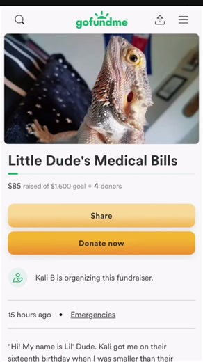 Overwhelming Success: Unstoppable Froglets Celebration