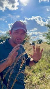 Always a relief when a rhino wakes up after being darted and safely moves away! 🙌🏻🦏 • • • #rhino #dart #animalsofinstagram #fyp #reels #video #endangeredspecies #reillytravers #heavenonearth #success #amazing #wildislifezimbabwe | Reilly Travers