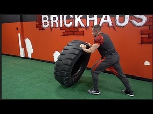 Various Holiday Life and Training Clips | Machine Life | Tiger Fitness