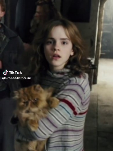 Exploring Harry Potter Fanfiction on Wattpad