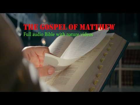 Holy Bible – Gospel of Matthew | Full Scripture Reading with Relaxing Nature