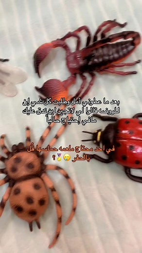 Exploring Inanimate Objects in Close-Up Shots