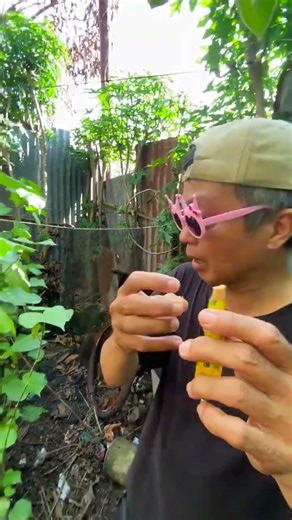 Bapak kasi pakan ikan #vidioshort #edimulyadi