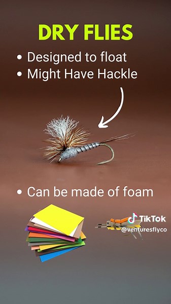 Venturesflyco on TikTok