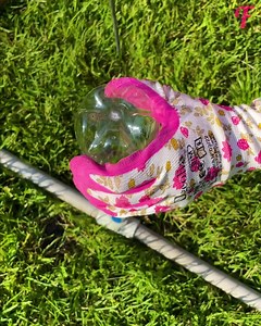 2.6K views | PVC pipe and plastic bottles create easy automated sprinkler. | Fabiosa Australia | Facebook