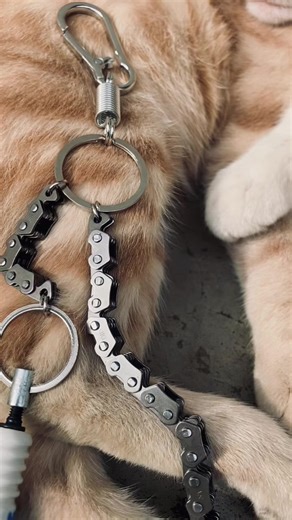 Essential Tips for Choosing the Right Wallet Chain