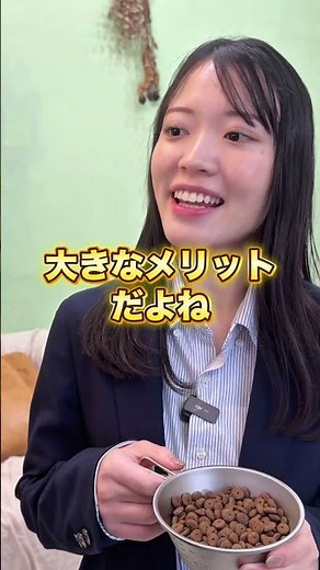 ドライ / ウェット / セミモイストフードの違い