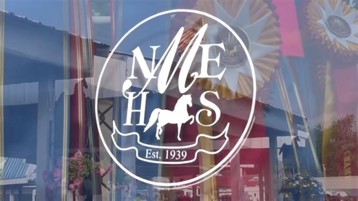 9.7K views · 52 reactions | Magical Morgan Memories in Northampton! 彩 The New England Morgan Horse Show is a few weeks away and we are excited to provide client video and live streaming. It’s more than a show - it’s history and tradition going 85 years strong! See you there, July 22-27! … #nemhs #newenglandmorgan #northampton #tradition #history #amha #morganhorse #horseshow #emstyle | EventMix | Facebook