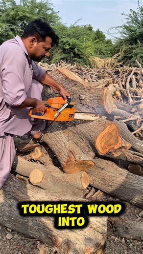 Watch Shan, the chainsaw master, demonstrate his amazing skill and precision. He's not just cutting wood; he's turning hard work into an art form with his powerful chainsaw. chainsaw, woodcutting, skill, master, craftsmanship, power tools, lumberjack, satisfying video, amazing skills, wood, cutting logs, wood work #chainsaw #woodcutting #skill #craftsmanship #powertools #lumberjack #satisfying #amazing #master #hardwork #wood | Wood Cutting