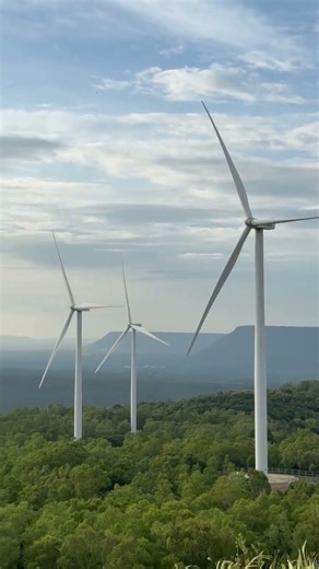 Windmill kind of day🏞️ #lily #shortsvideo