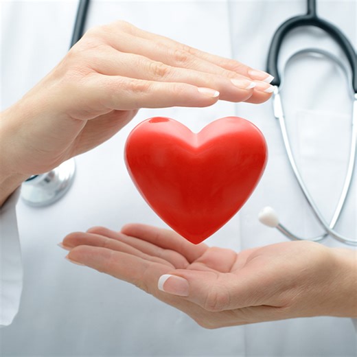 Spider venom heart drug moves to clinical trials