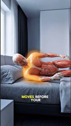 Shoulder Pain at Night? The Real Reason You Roll Weird #posture #backpainrelief #facts #fitness