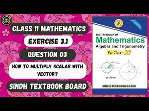 Exercise 3.1 Question 3 Complete | Multiplication of Scalar with Vector | Class 11 New Maths - BIEK