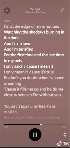 #terrified #katharinemcphee #lyrics #songlyrics #trend #fyp